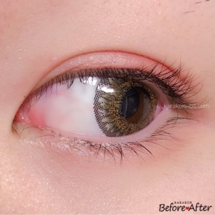 RICH STANDARD RichBeige 日拋10片裝